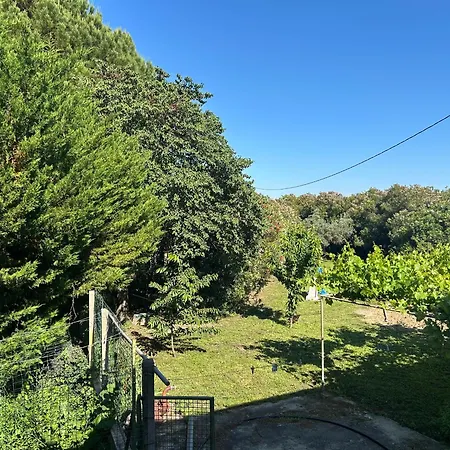 Appartamento 40 M2 Avec Parking Et Petite Terrasse Montfaucon (Gard)
